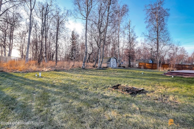 view of yard with a shed