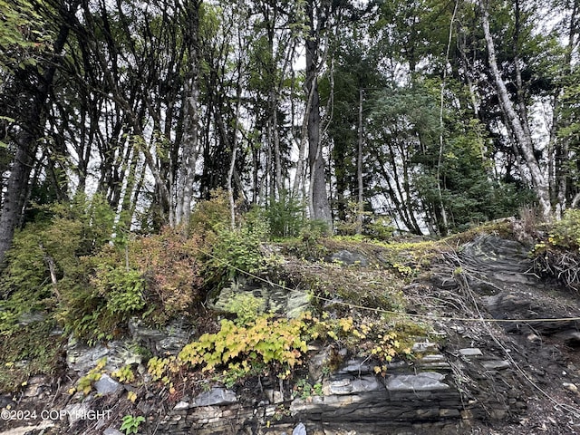 view of nature featuring a forest view
