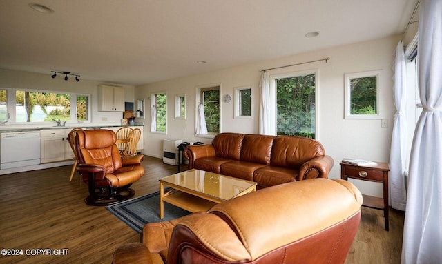 41385 Ptarmigan Heights Dr, Homer, AK 99603 - living room featuring dark wood-style floors