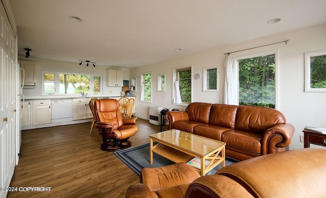 41385 Ptarmigan Heights Dr, Homer, AK 99603 - living area featuring dark wood-style flooring and recessed lighting