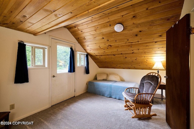 41385 Ptarmigan Heights Dr, Homer, AK 99603 - carpeted bedroom with wood ceiling, vaulted ceiling, and baseboards