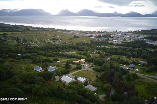 41385 Ptarmigan Heights Dr, Homer, AK 99603 - aerial overview of property's location featuring a water and mountain view