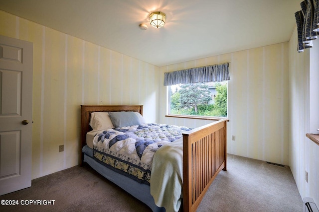 41385 Ptarmigan Heights Dr, Homer, AK 99603 - carpeted bedroom with baseboard heating