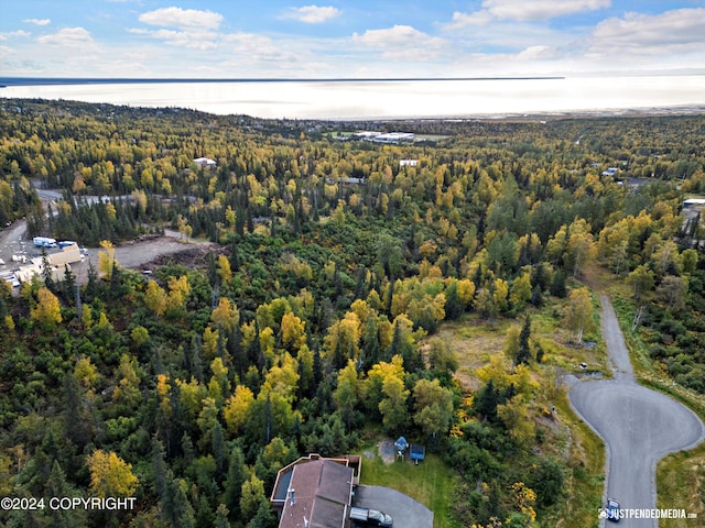 L2A Snow Flake Dr, Anchorage AK, 99516 land for sale