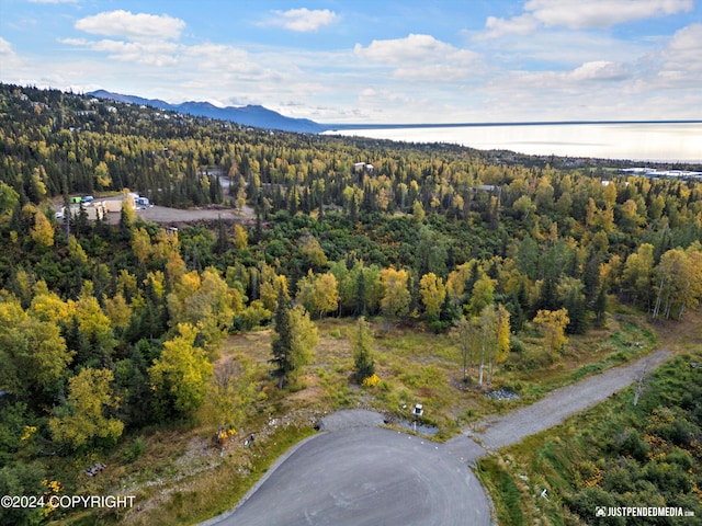L2A Snow Flake Cir, Anchorage, AK 99516