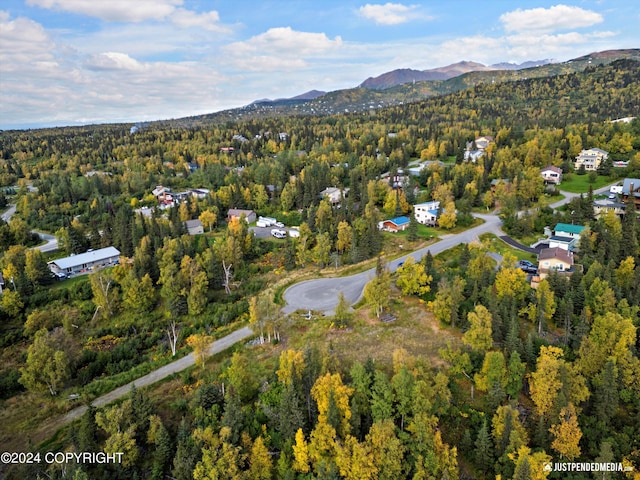 L2A Snow Flake Cir, Anchorage, AK 99516