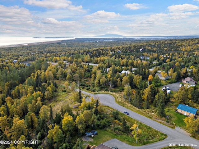 L2A Snow Flake Cir, Anchorage, AK 99516