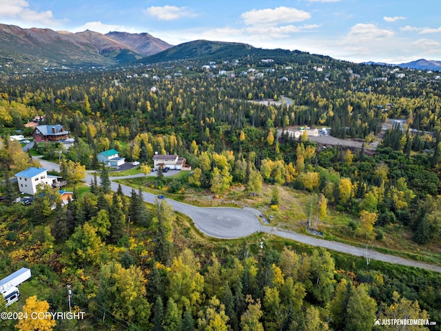 L2A Snow Flake Cir, Anchorage, AK 99516