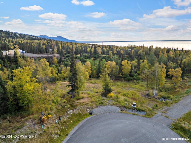 L2A Snow Flake Cir, Anchorage, AK 99516