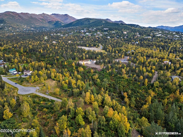 L2A Snow Flake Cir, Anchorage, AK 99516