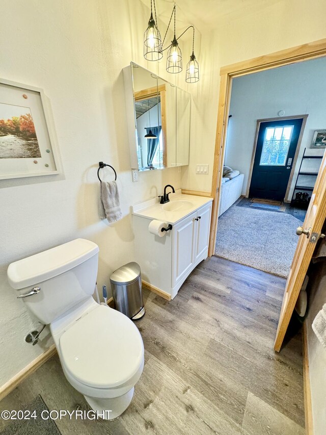 bathroom featuring vanity, toilet, and hardwood / wood-style flooring