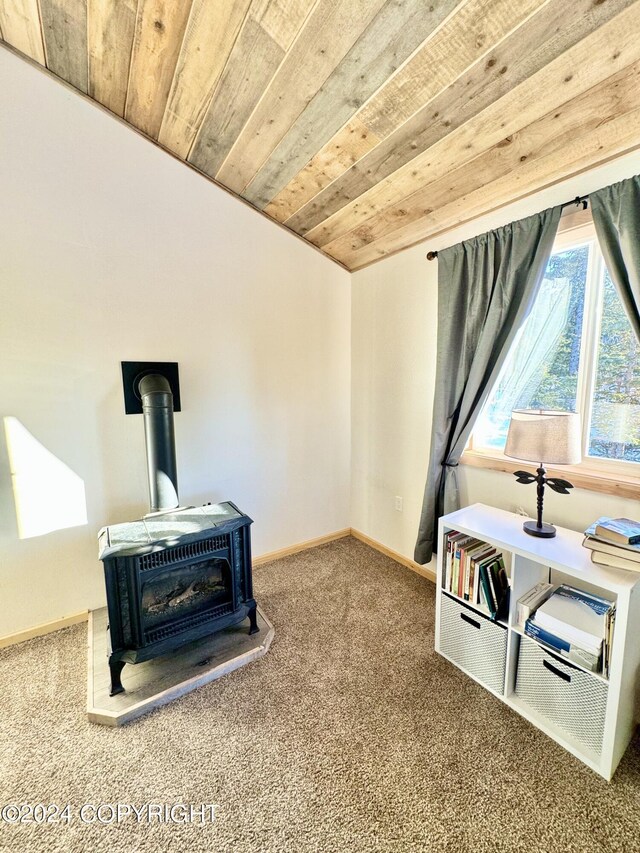 misc room with wood ceiling, carpet flooring, and a wood stove