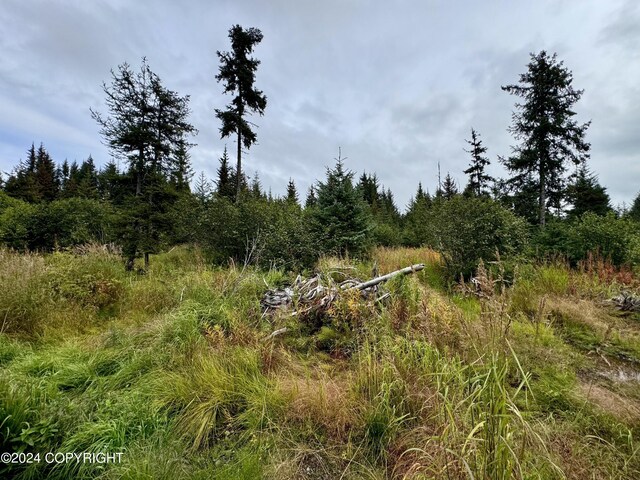 40854 Ruth Way, Homer, AK 99603 - view of local wilderness featuring a view of trees