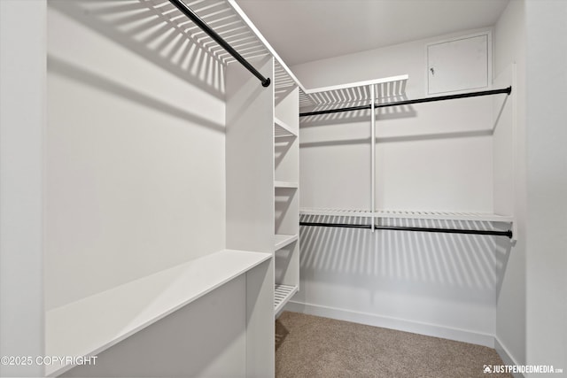 spacious closet featuring light colored carpet