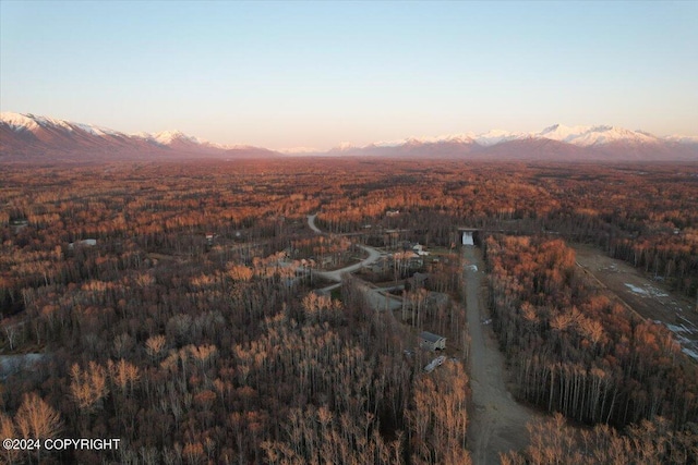 4154 E Harman Loop, Wasilla AK, 99654 land for sale