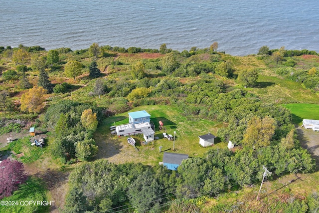 bird's eye view with a water view