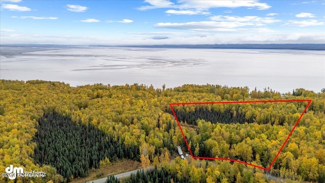 12719 S Ella Louise Cir, Wasilla AK, 99654 land for sale