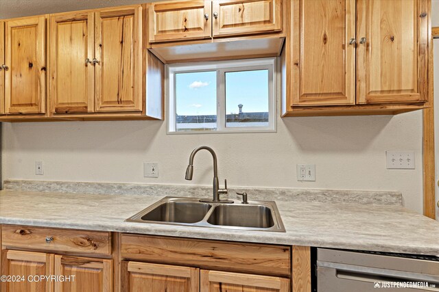 kitchen featuring dishwasher and sink