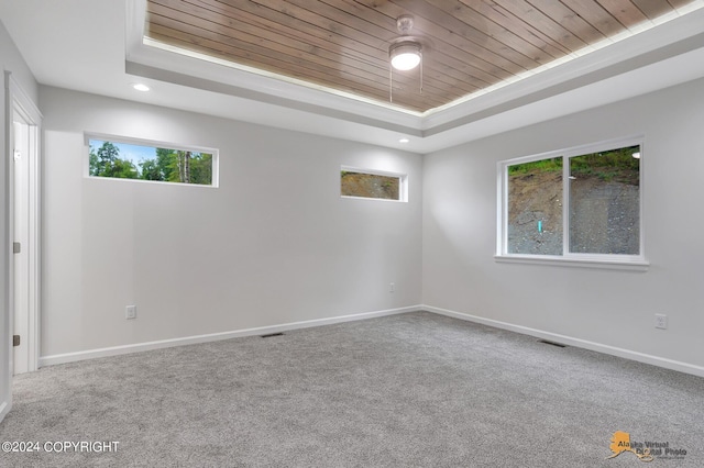 carpeted spare room featuring wooden ceiling and a raised ceiling