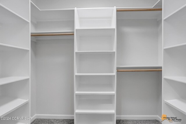 spacious closet featuring carpet flooring