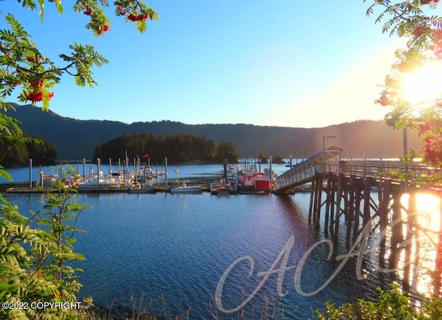 222 Main St, Seldovia, AK 99663 - photo 2