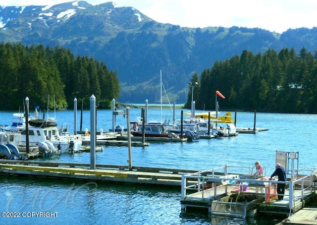 view of dock featuring a water and mountain view