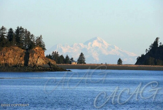 222 Main St, Seldovia, AK 99663 - photo 23