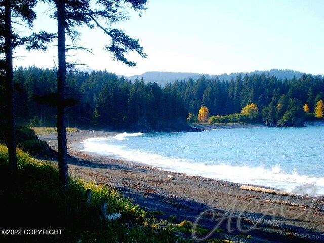 222 Main St, Seldovia, AK 99663 - photo 24