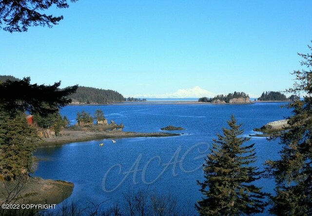 222 Main St, Seldovia, AK 99663 - photo 26