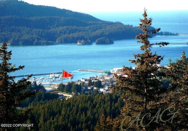 222 Main St, Seldovia, AK 99663 - photo 30