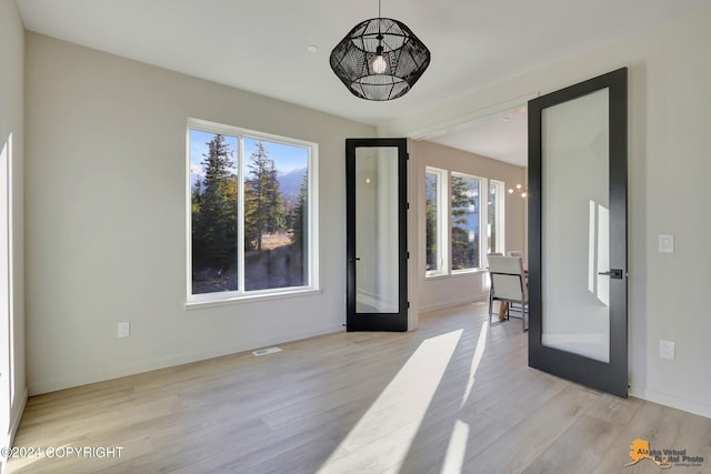 unfurnished room with light wood-type flooring, plenty of natural light, and french doors