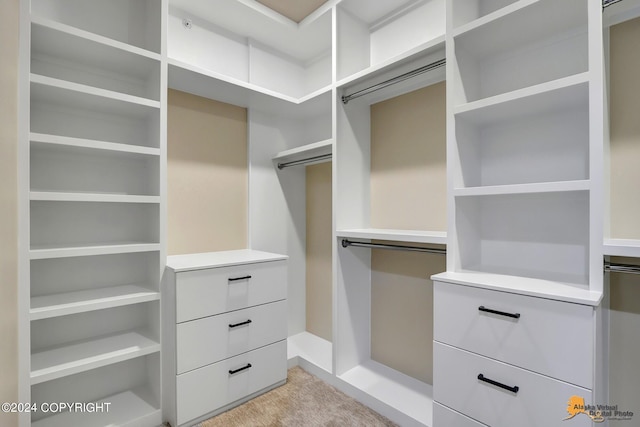 spacious closet featuring light colored carpet