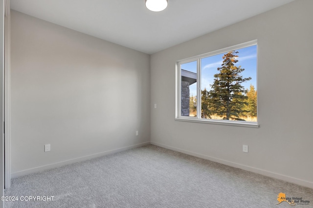 view of carpeted empty room