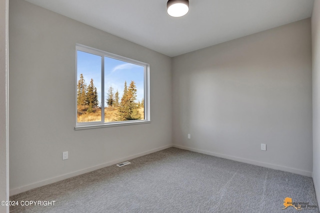 view of carpeted empty room