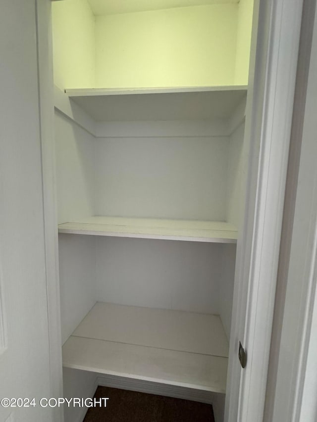 view of closet