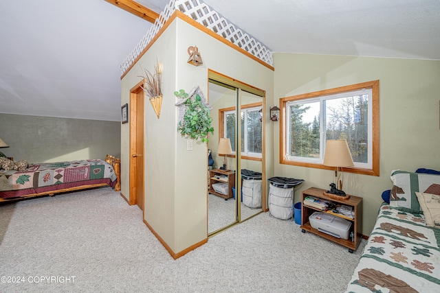 37325 Funny Moose Ln, Soldotna, AK 99669 - carpeted bedroom with lofted ceiling and a closet