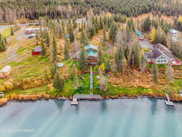37325 Funny Moose Ln, Soldotna, AK 99669 - aerial view of a forest and a nearby body of water