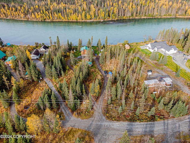 37325 Funny Moose Ln, Soldotna, AK 99669 - bird's eye view of a heavily wooded area and a large body of water