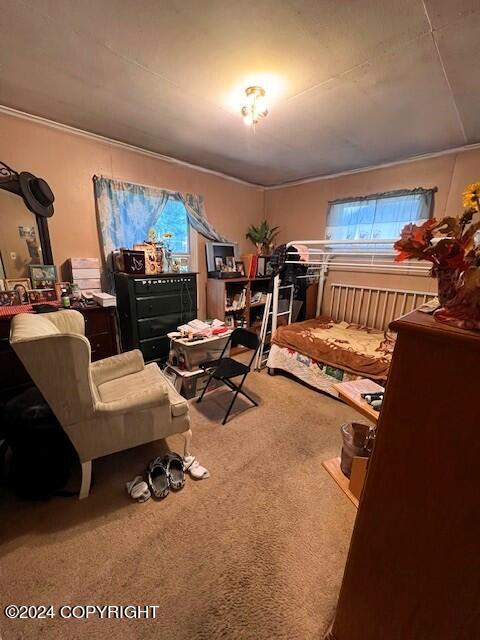716 Thorsheim St, Kodiak, AK 99615 - view of carpeted bedroom