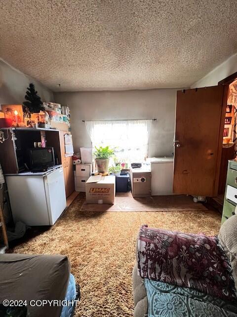 interior space with light carpet and a textured ceiling