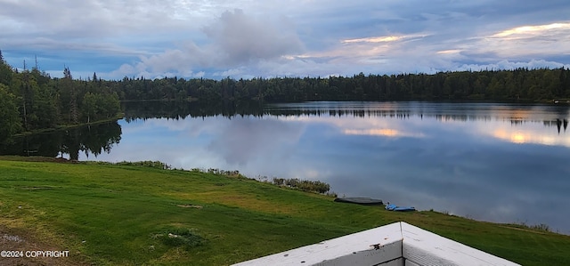 property view of water with a forest view