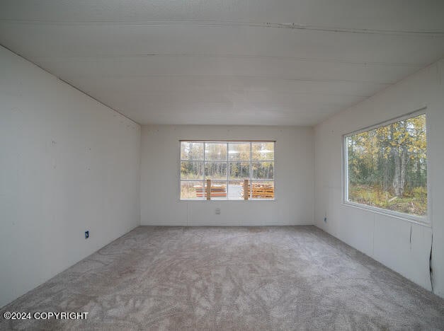 empty room with light carpet