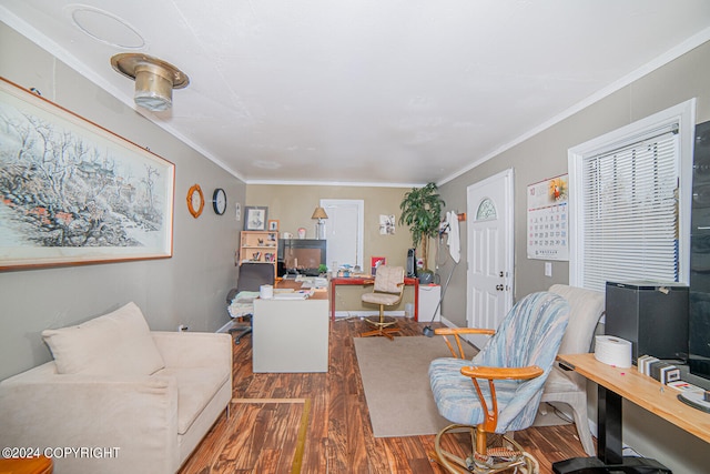 office with crown molding and dark hardwood / wood-style flooring