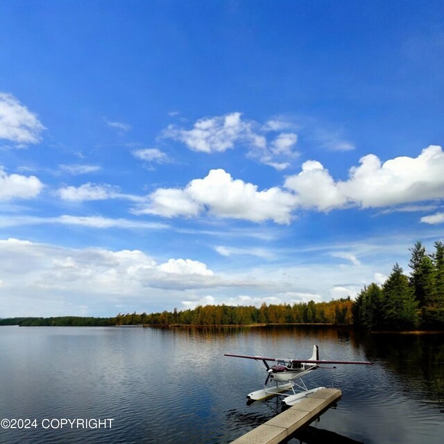 46689 S Fishermans Hop Rd # 6, Willow, AK 99688 - dock with a water view and a view of trees