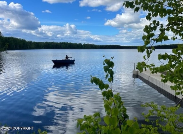 46689 S Fishermans Hop Rd # 6, Willow, AK 99688 - dock area featuring a water view