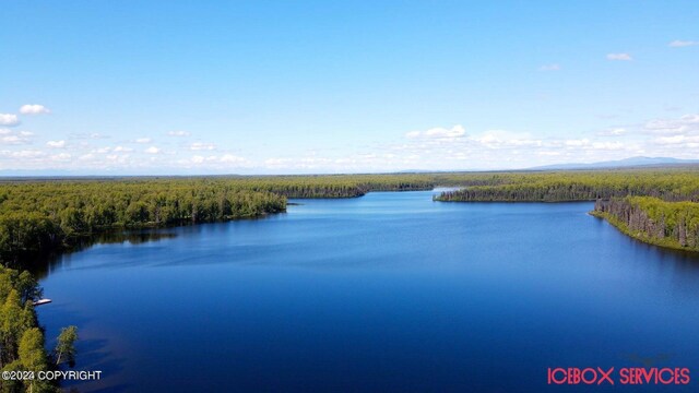 46689 S Fishermans Hop Rd # 6, Willow, AK 99688 - water view featuring a forest