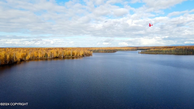 46689 S Fishermans Hop Rd # 6, Willow, AK 99688 - water view featuring a heavily wooded area