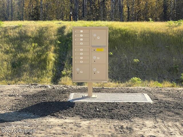 46689 S Fishermans Hop Rd # 6, Willow, AK 99688 - surrounding community featuring mail area