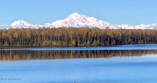 46689 S Fishermans Hop Rd # 6, Willow, AK 99688 - water view featuring a heavily wooded area and a mountain backdrop