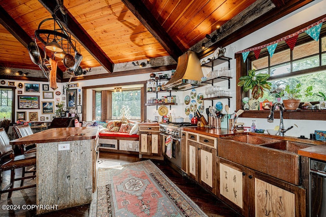 kitchen featuring stainless steel stove, dark wood-type flooring, a healthy amount of sunlight, and sink